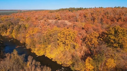 Wild natural sight of a forest and flowing water.