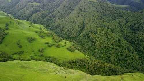 Aerial View of Rolling Green Hills and Lush Forest in a Mountainous Region