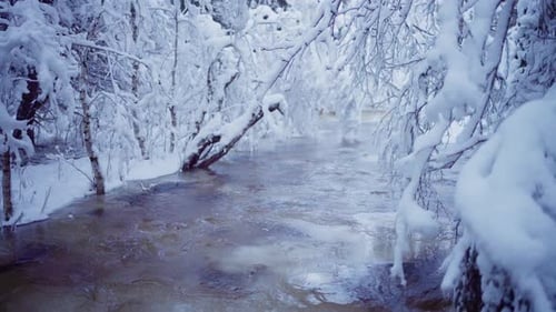 Stream Through The Frozen And Snow-covered Trees In The Forest. - wide shot