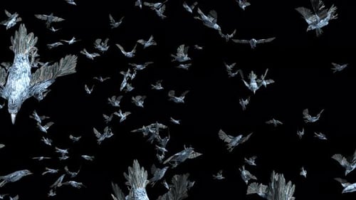 Large Flock of Icy Birds Flying