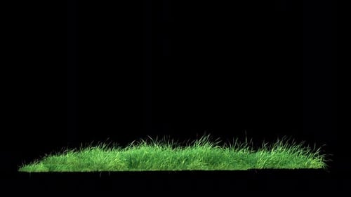 Grass Wind Loop on Alpha