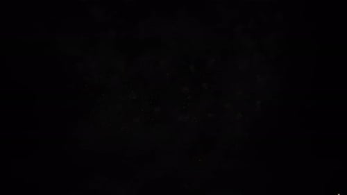 Colorful Fireworks Exploding in the Night Sky Celebration