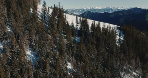 Drone Flies Close to Forest Trees on Winter Rocks to Reveal Amazing Scenery of Majestic Cold Snow