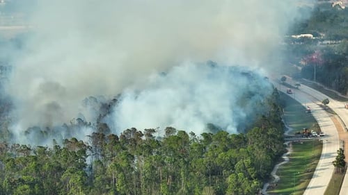 Aerial View of Fire Department Firetrucks Extinguishing Wildfire Burning Severely in Florida Jungle