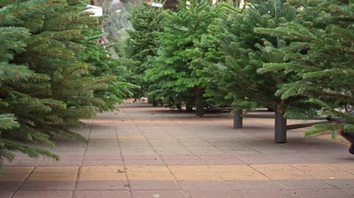 Active dog in warm clothes sheepskin coat happily run through winter park frolic