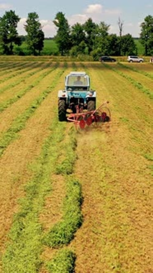 Agricultural process with green grass in the field. Tractor is working in summer on the grassland