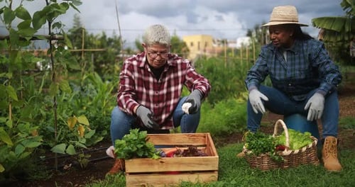 Adults Gardening Together in a Rural Garden