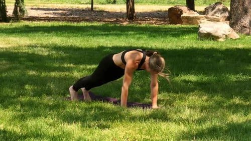 pushups on a yoga mat that result in powerful poses. A woman does yoga in the park.