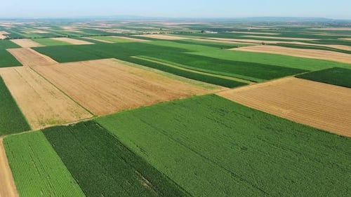 Aerial View of Agriculture Fields