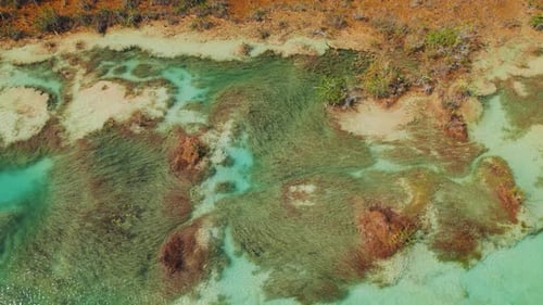Vue aérienne de formations stromatolitiques colorées dans le lagon turquoise peu profond de Bacalar