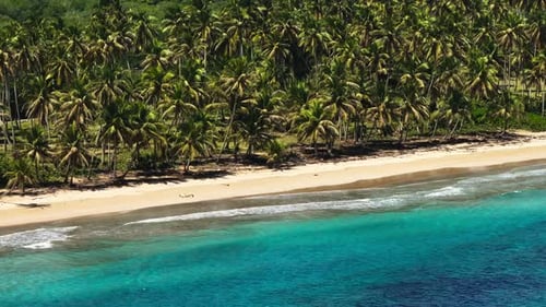 Aerial tour over Caribbean beach with turquoise waters and palm trees in Samana bay, Dominican Repub