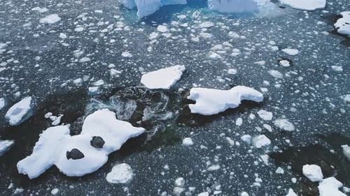 Ocean Clear Water Among Icebergs Antarctica Shot