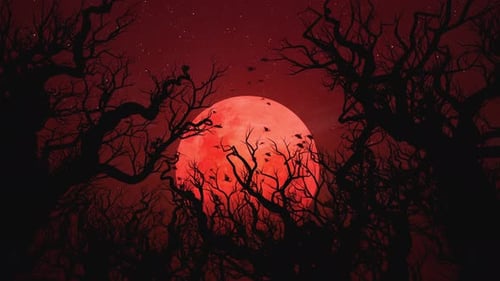 Animated Red Moon and Flying Bats in Spooky Forest Night