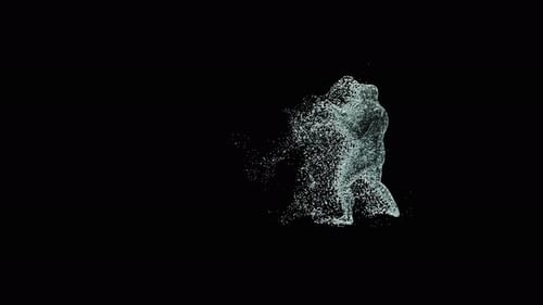 Dynamic Fluid Particle Fighter Boxing Action