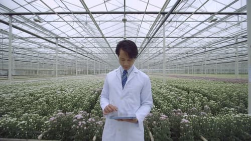 MS Scientist standing and using digital tablet in greenhouse