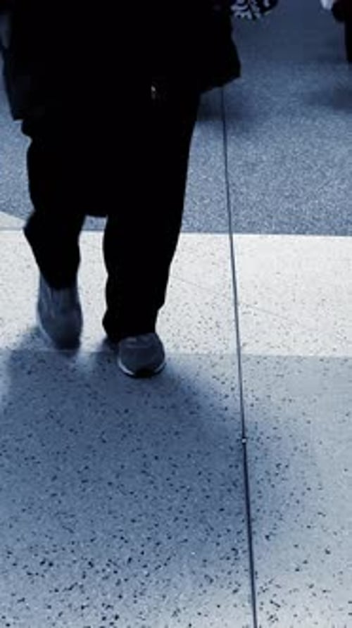 Analyzing Urban Pedestrian Movement in a Monochrome Setting Exploring the Dynamics of City Life