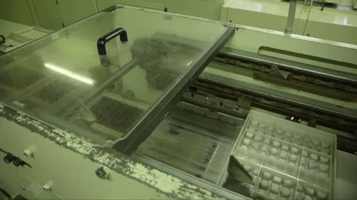 candy molds with packaging are turned upside down in a chocolate factory