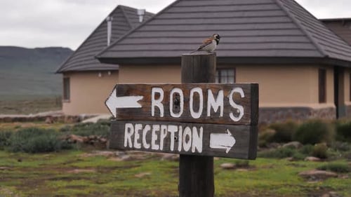 Bird on wooden sign pointing the way to rooms and reception of lodge
