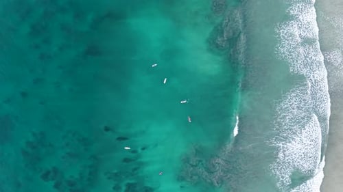 Aerial View of Surfers Waiting for Waves on a Tropical Beach