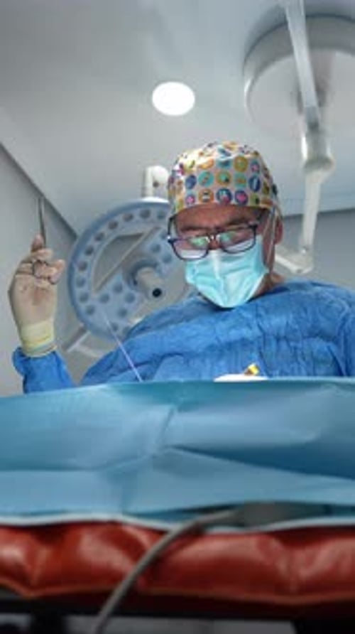 Veterinary Surgeon Performing a Delicate Operation