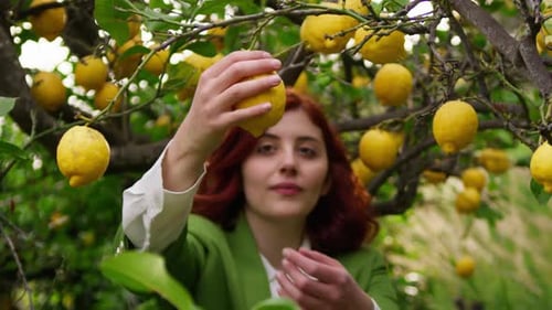 Woman Examining Lemon in Lemon Tree Grove