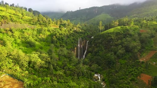 Waterfall in the Jungle