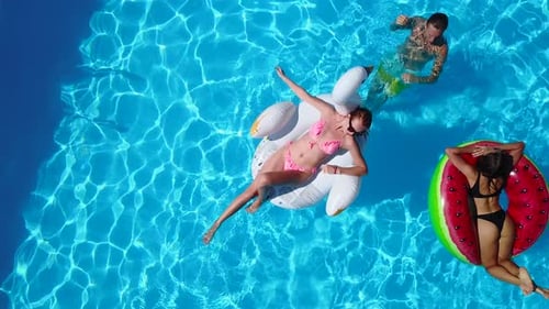 Aerial Friends Chilling in Swimming Pool with Inflatable Flamingo Swan Mattress Happy Young People