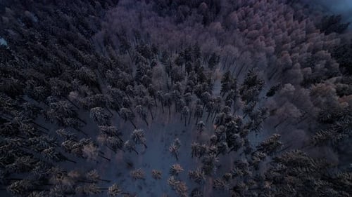 an aerial shot revealing the sunset with the countryside covered in fog and winter forest on a hill