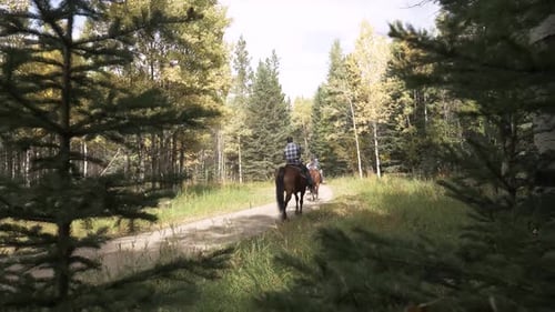 Man Horseback Riding on Trail in Sunny Woods Active
