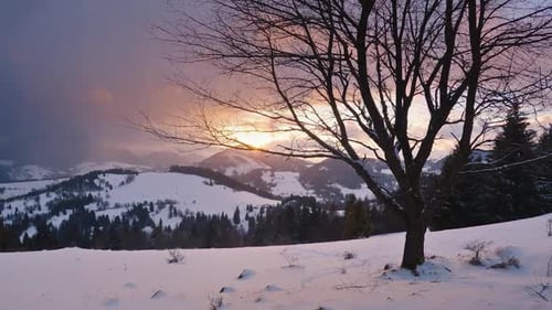 Winter Sunrise