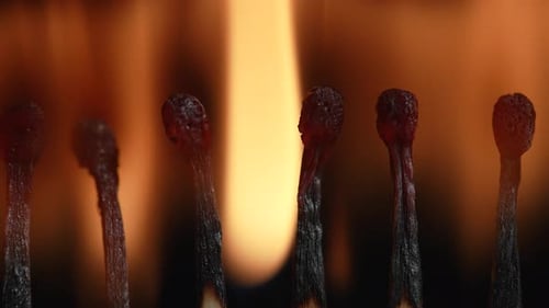 Burnt Matches in Macro Detail with Flame