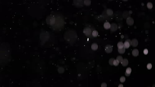 Particles