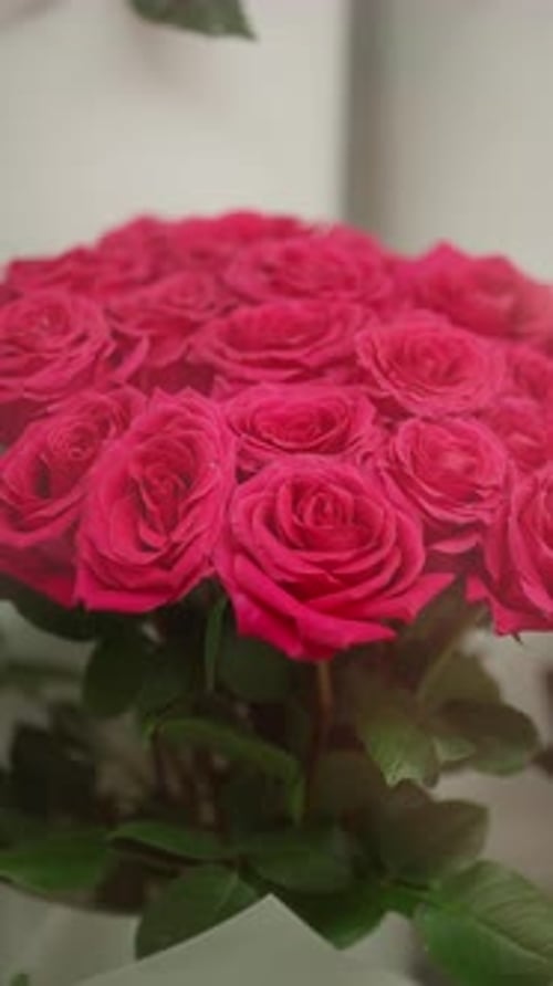 Vibrant bouquet of radiant pink roses