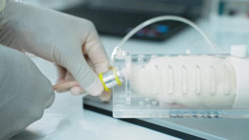 Scientist Preparing White Mouse for Experiment