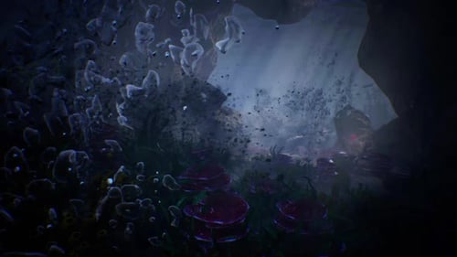 Coral Reef