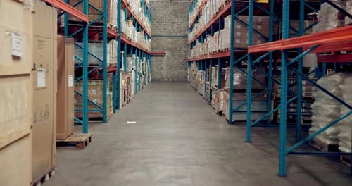Logistics, shipping and shelf with box in warehouse for supply chain, ecommerce storage and cargo