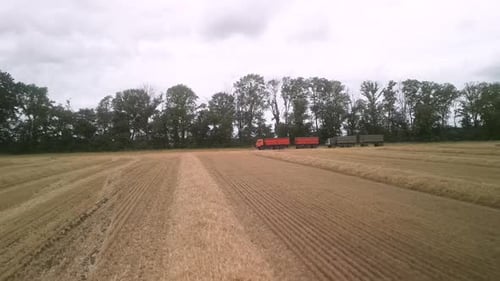 Wheat field aerial view in Ukraine