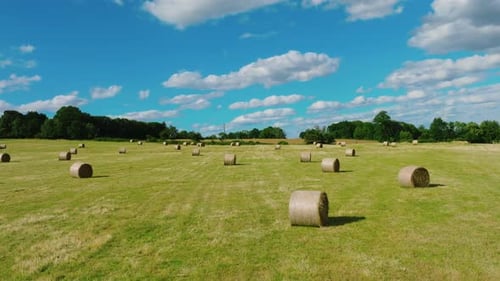 Strohstapel Gestapelte Heuballen, die von der Ernte übrig geblieben sind Feld einer landwirtschaftlichen Farm mit