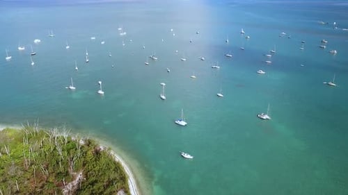 Sailboats Anchored Off Island Shore Aerial