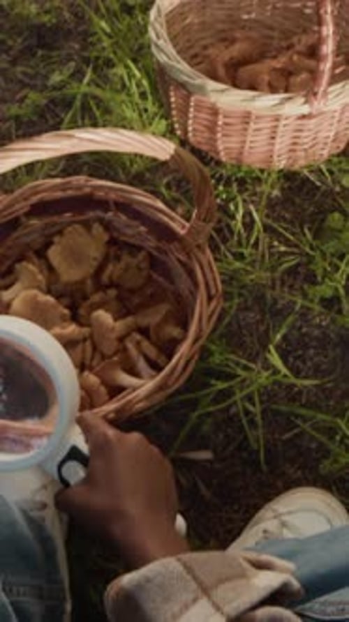 Hands of Black Boy with Magnifier Glass Exploring Mushrooms in Forest