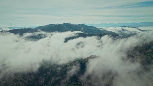 Aerial view of sea of fog move flowing over mountain and forest in morning