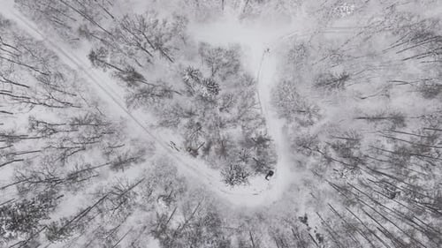 Top view aerial shot of a snowy forest landscape with winding roads cutting through the trees. A
