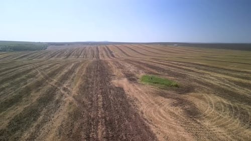 Tractor working on the field doing tillage with cultivator
