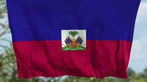 Realistic Haiti Flag Waving Seamless Loop Animation