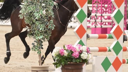 A Brown Horse Leaps Over a Fence During a Show Jumping Competition The Horse is Wearing a Green
