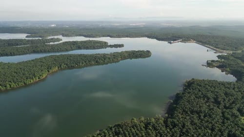 A lake with trees surrounding it. Aerial view
