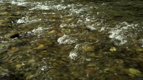 The Movement Of A Mountain River Over Rocks