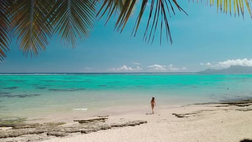 Young Woman Walking on a Tropical Beach with Palm Trees and Turquoise Water