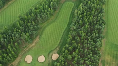 Top View of the Golf Course Located in a Wooded Area