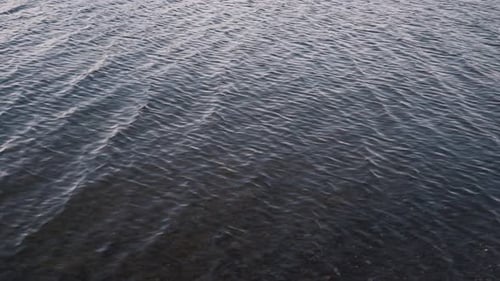 Water surface ripples softly along rocky shore
